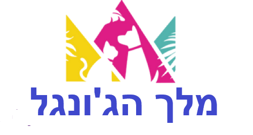 מלך הג'ונגל אפריקן ציקליד Logo